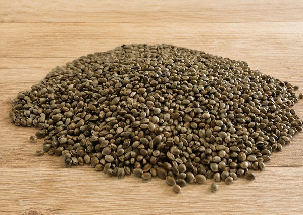 BAFA Premium Hemp Seeds